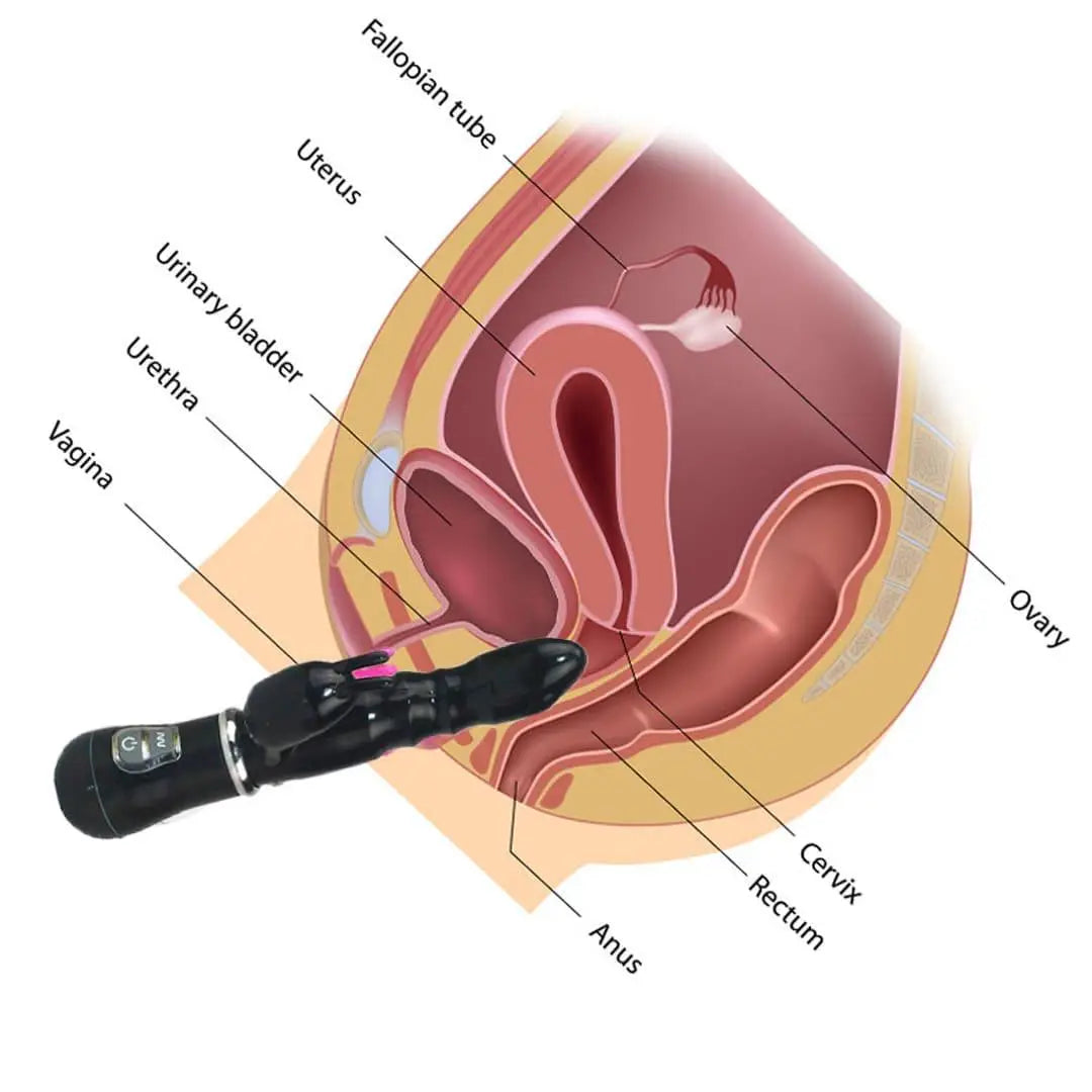Pussy Vagina G-Spot Rabbit Vibrator Anal Butt Plug Sex Toys for Men Women Couples LGBTQ Gay Masturbator