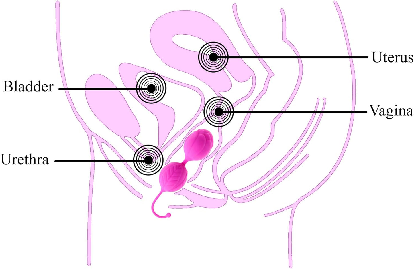 Ben Wa Kegel Balls Pelvic Exerciser Silicone Vaginal Muscle Tightening Exerciser Sex Toys for Women Couples